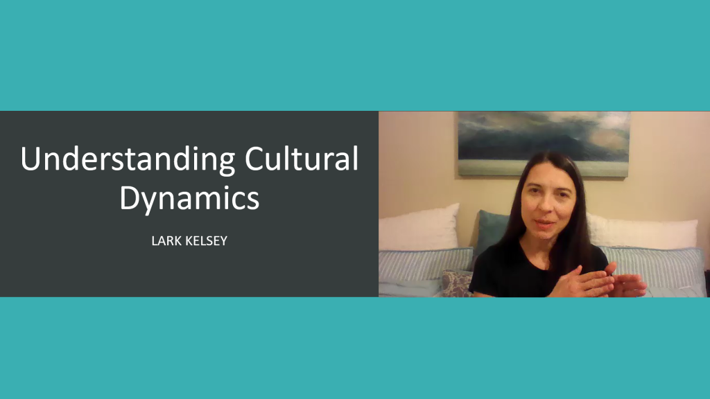 Understanding Cultural Dynamics: Power Differences